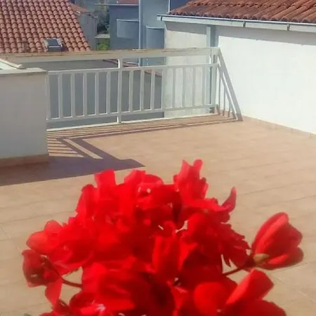 Mila & Miro 스플리트