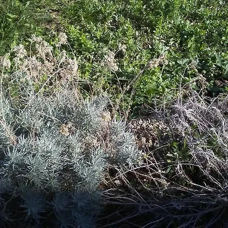 Mila & Miro 스플리트