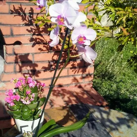 Mila & Miro 아파트